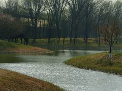 -圣露庄园·露营·烤肉·亲子