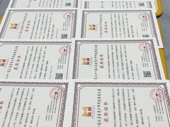 -雄孩子机器人少儿编程STEM教育(迪诺水镇校区)