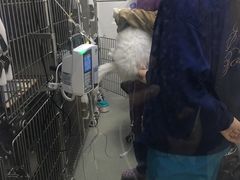 -中农国际动物医院24小时·猫科·骨科·急重症中心