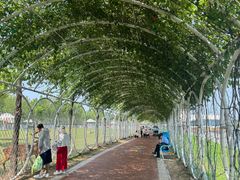 -渔岛海洋度假区