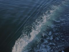 -美人鱼帆船海鲜餐厅(七星湾游艇会店)