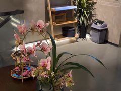 -施奈儿.洗头頭療.按摩SPA.采耳(上梅林店)