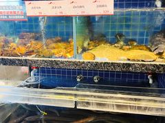 -船歌·鱼水饺青岛菜(正阳路店)