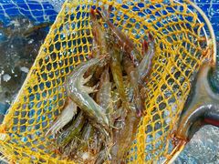 -双月饭店·20年老字号(新村店)