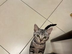 -佑安动物医院·全科·内窥镜中心(幸福巷店)