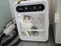 -爱洗澡的猫(望京店)