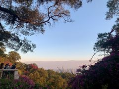 -广州市白云山风景名胜区