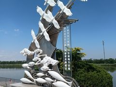 -南大港湿地风景区