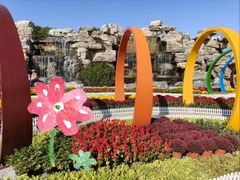 -石家庄市植物园