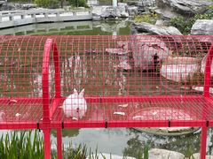 -扬州瘦西湖温泉