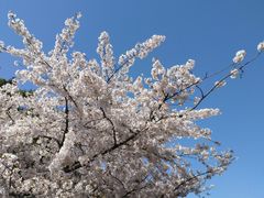 -格莱美量贩式KTV(国信店)