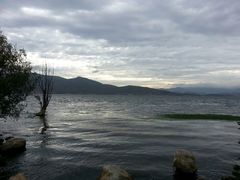 -才村湿地公园