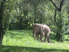 -北京野生动物园