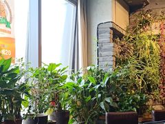 露天位-有才叔的小馆(高新咖啡街区店)