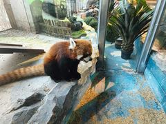 -绿色星球动物主题公园