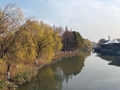 -江滩湿地公园