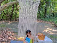 -南宁良凤江国家森林公园