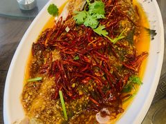 -向民炒鸡老店(金泰华府店)