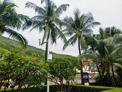 -骑仕租车(三亚凤凰机场店)