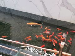 -新世界大丸百货