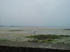 -北海金海湾红树林生态旅游区