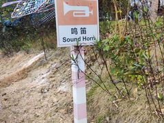 -红山村