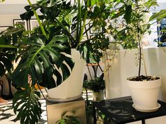 -一尺花园(安和花园店)