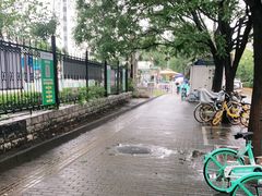 -中国中医科学院望京医院(院本部)