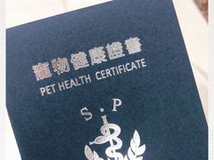 -申普宠物医院·心脏介入·心血管微创(总院)