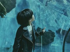 -苏州海洋馆