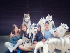 -TrueLove @ Neverland (Husky Cafe)