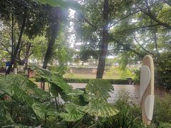 -成都市活水公园