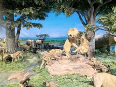 -国家自然博物馆