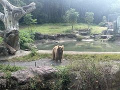 -宁波野生动物园