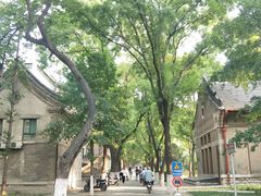 -山东大学(趵突泉校区)
