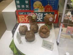 -春润大地海南椰子鸡(沙井京基百纳广场店)
