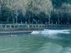 -运河游船(武林门码头)