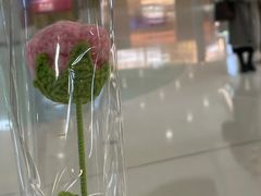 -沈阳铁西万象汇