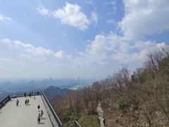 -紫金山山顶公园