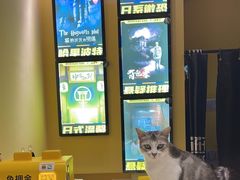 -谜盒子奇幻密室(南屏店)
