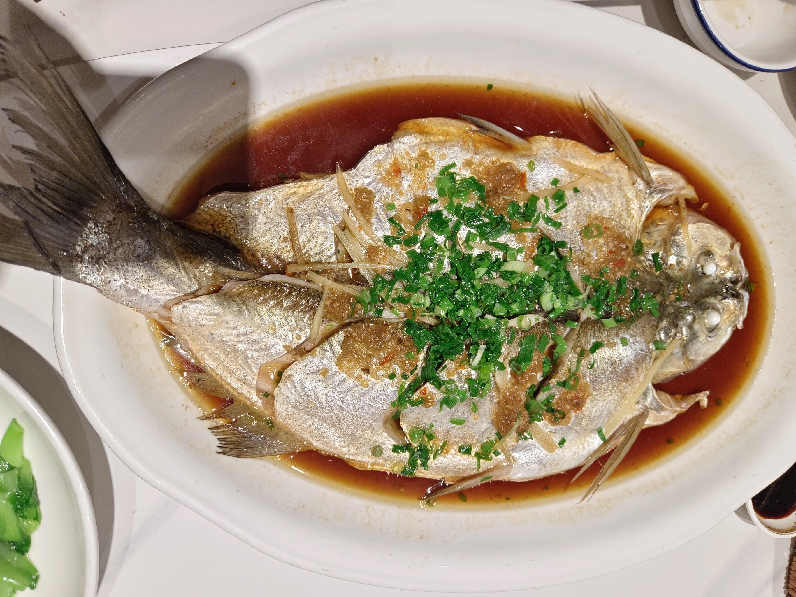 清蒸鱼的午餐时光