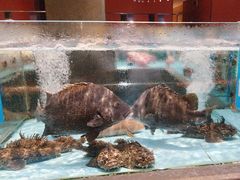 -阿伟海鲜楼·福建菜(延寿店)