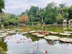 -中国科学院西双版纳热带植物园