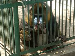 -北戴河集发农业梦想王国