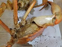 -鑫悦楼煎蟹·16年海鲜大排档