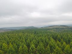 -塞罕坝国家级自然保护区