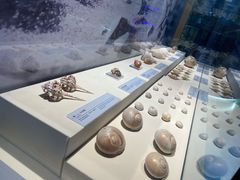 -上海中国航海博物馆