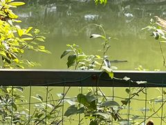 -重庆海昌加勒比海水世界
