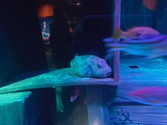 -沈阳海洋探索中心