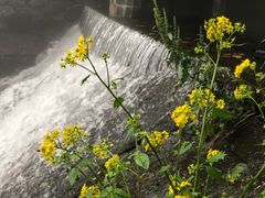 -溪口-滕头旅游景区